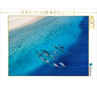 Puzzle CALVENDO Par les courants et les marées - Les dauphins | 1000 pièces, for