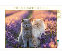 Puzzle CALVENDO Parfum de lavande et bonheur félin | 1000 pièces, format assembl