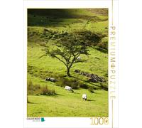 CALVENDO Puzzle Pâturage pour Moutons 1000 Pieces 48 x 64 cm from Christian Hallweger