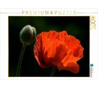 Puzzle CALVENDO Pavot | 1000 pièces, format assemblé 64 × 48 cm | Puzzle photo p