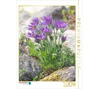 Puzzle CALVENDO pavot des champs | 1000 pièces, format assemblé 64 × 48 cm | Puz