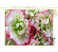 CALVENDO Puzzle Pelargonium Bouton de Rose Fleurs de Pommier 1000 Pieces 64 x 48 cm from Martina Cross
