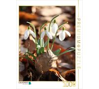 Puzzle CALVENDO Perce-neige au feuillage sec sous le soleil printanier | 1000 pi