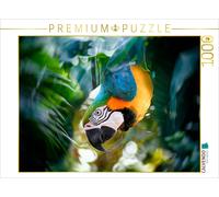 CALVENDO Puzzle Ara Papagei 1000 Teile Puzzle quer 1000 Pieces 64 x 48 cm from Liselotte Brunner-Klaus