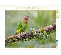 Puzzle CALVENDO Perruche à joues grises | 1000 pièces, format assemblé 64 × 48 c