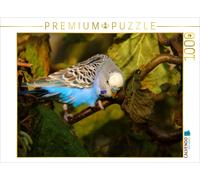 CALVENDO Puzzle Wellensittich im Buchenwald 1000 Teile Puzzle quer 1000 Pieces 64 x 48 cm from Björn Bergmann