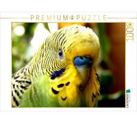 Puzzle CALVENDO Perruche - Un regard profond dans l'âme d'une perruche... | 1000