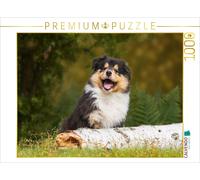 Puzzle CALVENDO Petit explorateur du monde - un chiot collie | 1000 pièces, form