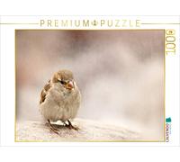 Puzzle CALVENDO Petit moineau | 1000 pièces, format assemblé 64 × 48 cm | Puzzle