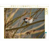 Puzzle CALVENDO Petit moineau espiègle | 1000 pièces, format assemblé 64 × 48 cm