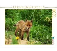 Puzzle CALVENDO Petit renard | 1000 pièces, format assemblé 64 × 48 cm | Puzzle