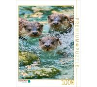 Puzzle · Kleine Wellen, großes Glück | 1000 pièces · Format assemblé 64 × 48 cm · CALVENDO Puzzle
