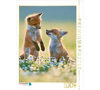 Puzzle · Kleine Gesellen, großes Glück | 1000 pièces · Format assemblé 64 × 48 cm · CALVENDO Puzzle