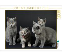 Puzzle CALVENDO Petits oursons britanniques | 1000 pièces, format assemblé 64 ×
