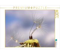 CALVENDO Puzzle Petits Parachutes 1000 Pieces 64 x 48 cm from ropo13