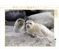 CALVENDO Puzzle Phoques Gris 1000 Pieces 64 x 48 cm from Martina Berg