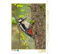 Puzzle CALVENDO Pic épeiche | 1000 pièces, format assemblé 64 × 48 cm | Puzzle p