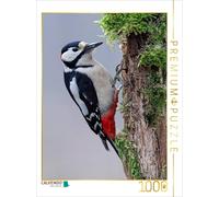 Puzzle CALVENDO Pic épeiche | 1000 pièces, format assemblé 64 × 48 cm | Puzzle p