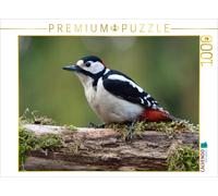 Puzzle CALVENDO Pic épeiche / Dendrocopos major / Pic épeiche | 1000 pièces, for