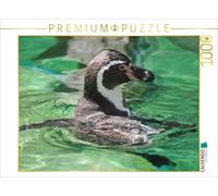 Puzzle CALVENDO Pingouin de Humboldt | 1000 pièces, format assemblé 64 × 48 cm |