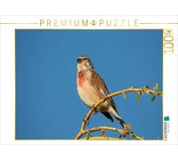 Puzzle CALVENDO Pinson à tête rouge | 1000 pièces, format assemblé 64 × 48 cm |