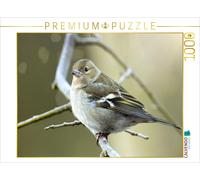Puzzle CALVENDO Pinson des arbres - Fille | 1000 pièces, format assemblé 64 × 48