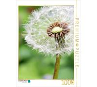 Puzzle CALVENDO Pissenlit | 1000 pièces, format assemblé 64 × 48 cm | Puzzle pho