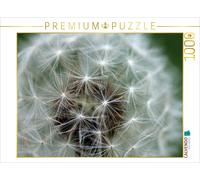 Puzzle CALVENDO Pissenlit | 1000 pièces, format assemblé 64 × 48 cm | Puzzle pho