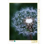 Puzzle CALVENDO Pissenlit | 1000 pièces, format assemblé 64 × 48 cm | Puzzle pho
