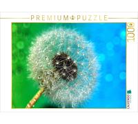 Puzzle CALVENDO Pissenlit avec des gouttes de rosée | 1000 pièces, format assemb