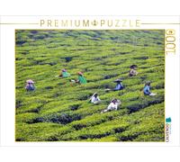 Puzzle CALVENDO Plantation de thé, Kerala | 1000 pièces, format assemblé 64 × 48
