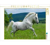 CALVENDO Puzzle L'étalon lipizzan Pluto Darina 1000 Pieces 64 x 48 cm from Sista-Tierfoto