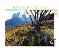 Puzzle · Mirador Cuernos, Torres Del Paine Nationalpark, Chile 1000 Teile | Puzzle quer · 1000 pièces · Format assemblé 64 × 48 cm · CALVENDO Puzzle