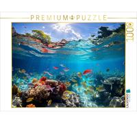 Puzzle CALVENDO Poissons tropicaux colorés et coraux | 1000 pièces, format assem
