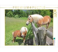 Puzzle CALVENDO Poney | 1000 pièces, format assemblé 64 × 48 cm | Puzzle photo p