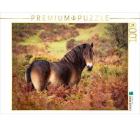Puzzle CALVENDO Poney dans une explosion de couleurs | 1000 pièces, format assem