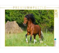 Puzzle CALVENDO Poney gallois | 1000 pièces, format assemblé 64 × 48 cm | Puzzle