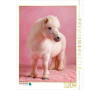 Puzzle CALVENDO Poney nain blanc sur fond rose | 1000 pièces, format assemblé 64