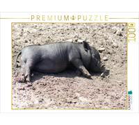 Puzzle CALVENDO Porcelet micro endormi | 1000 pièces, format assemblé 64 × 48 cm