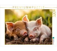 Puzzle CALVENDO Porcs | 1000 pièces, format assemblé 64 × 48 cm | Puzzle photo p