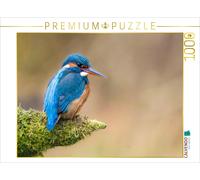 Puzzle CALVENDO Portrait d'Eisvogel | 1000 pièces, format assemblé 64 × 48 cm |