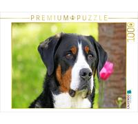 CALVENDO Puzzle Portrait Großer Schweizer Sennenhund 1000 Teile Puzzle quer 1000 Pieces 64 x 48 cm from SchnelleWelten