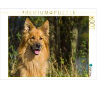 CALVENDO Puzzle Portrait de Renard Harzer 1000 Pieces 64 x 48 cm from Sista-Tierfoto