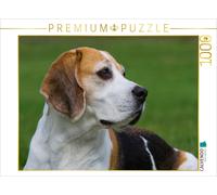CALVENDO Puzzle Portrait de Beagle 1000 Pieces 64 x 48 cm from Sista-Tierfoto