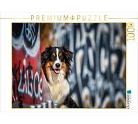 CALVENDO Puzzle Potrait d'un Berger Australien Devant Un Mur de Graffitis 1000 Pieces 64 x 48 cm from Yvonne Janetzek