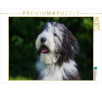 CALVENDO Puzzle Portrait d'un Chiot Colley Barbu 1000 Pieces 64 x 48 cm from Sista-Tierfoto