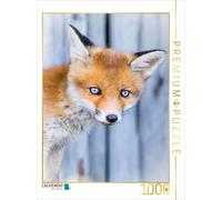 Puzzle CALVENDO Portrait d'un chiot renard | 1000 pièces, format assemblé 64 × 4