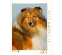 CALVENDO Puzzle Portrait d'un Colley 1000 Pieces 48 x 64 cm from Sista-Tierfoto