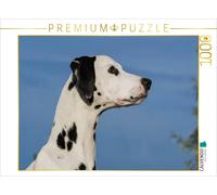 CALVENDO Puzzle Portrait d'un Dalmatien 1000 Pieces 64 x 48 cm from Sista-Tierfoto