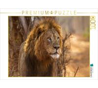 Puzzle CALVENDO Portrait d'un homme-lion beau comme un dieu | 1000 pièces, forma
